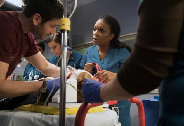 Изображение из сериала Медики Чикаго